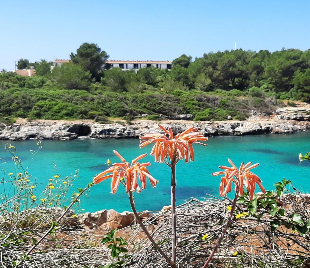 休达德亚Atico Playa Santandria Con Piscina Y Wifi别墅 外观 照片